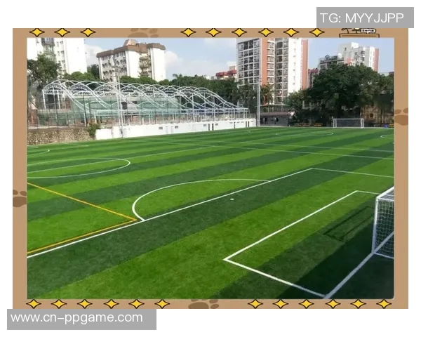 足球场地详解从尺寸到标志全面解析让你了解每一个细节